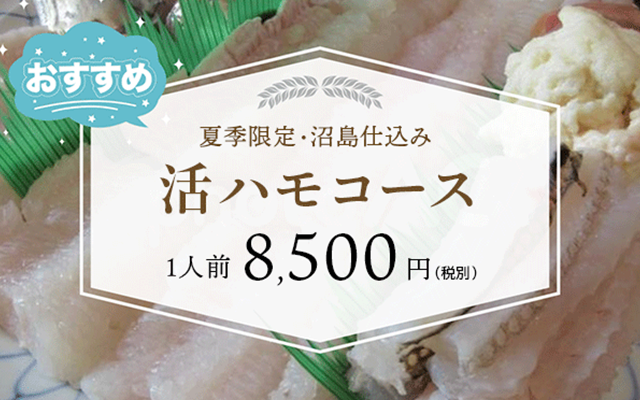 活ハモコース