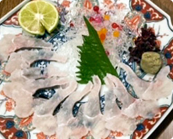 ハモの刺身イメージ
